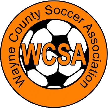 wayne county travel soccer