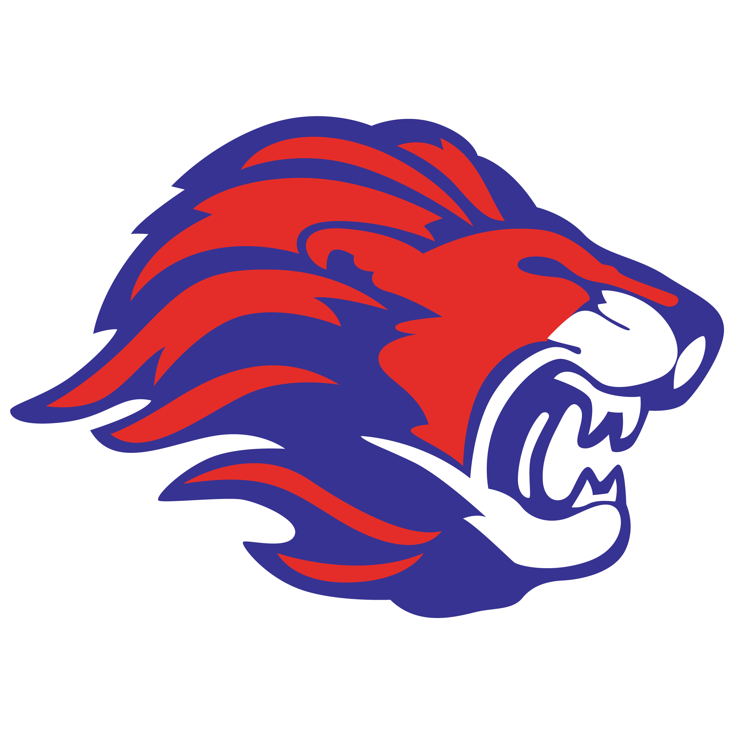 KC East Lions Football **AED Mission**